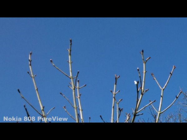 Camera Comparison Shots 