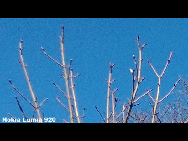 Camera Comparison Shots 