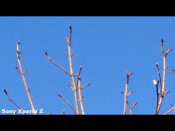 Camera Comparison Shots 