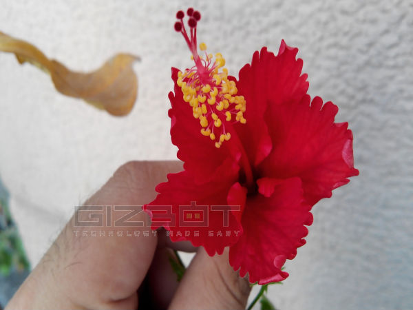 Hands on Review of New Panasonic P51 Smartphone