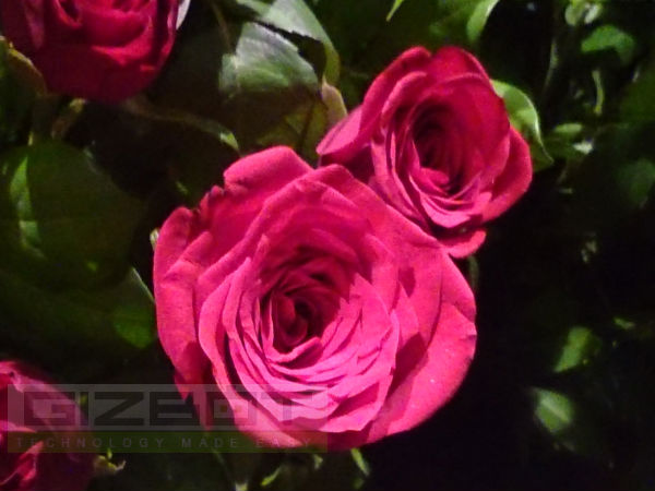 Sony Xperia Z Ultra Hands on Review