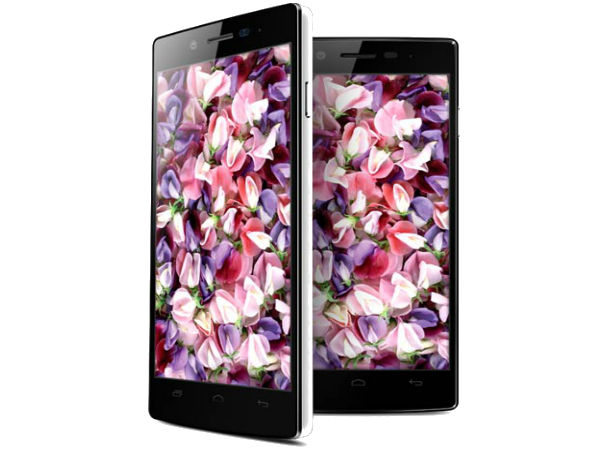 WICKEDLEAK WAMMY PASSION X: