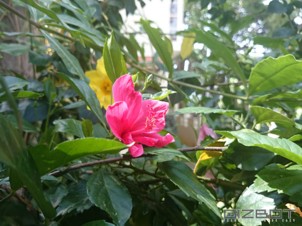 Sony Xperia Z2 Review: The Xperia Z1 Look-alike That Packs a Punch