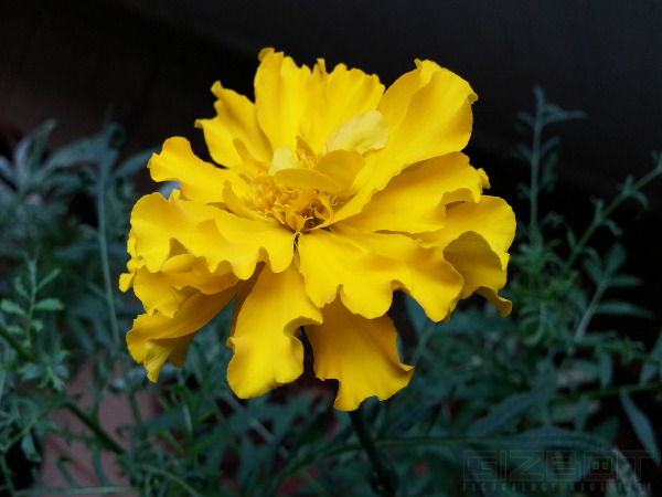 LG G3 Review: An Intuitive and Aesthetic Flagship With Evolved Specs