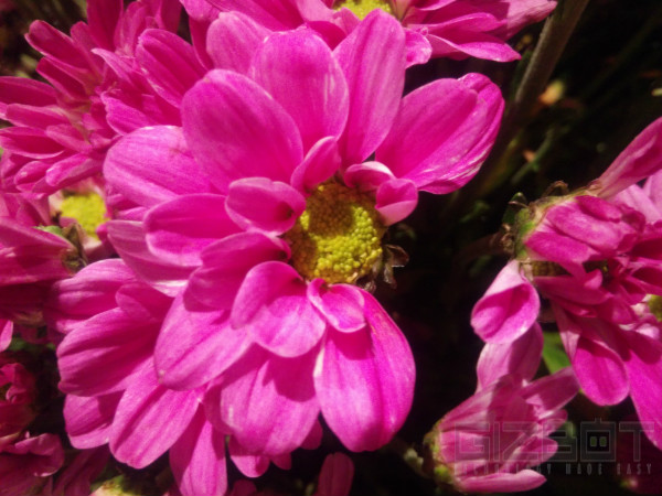 Oppo Find 7 Review: The Smartphone Beyond Perfection Oppo Find 7 Review: The Smartphone Beyond Perfection