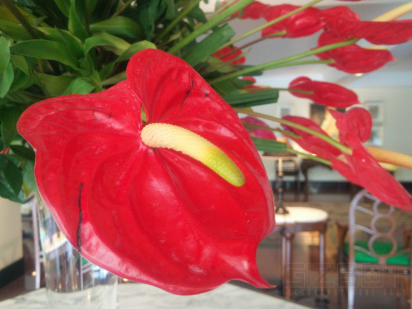 Oppo Find 7 Review: The Smartphone Beyond Perfection Oppo Find 7 Review: The Smartphone Beyond Perfection