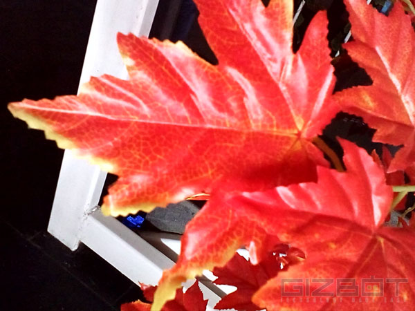 Intex Aqua Style Review