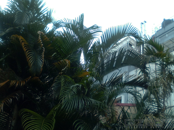 Philips W3500 Full Review: The Battery Will Leverage this Smartphone