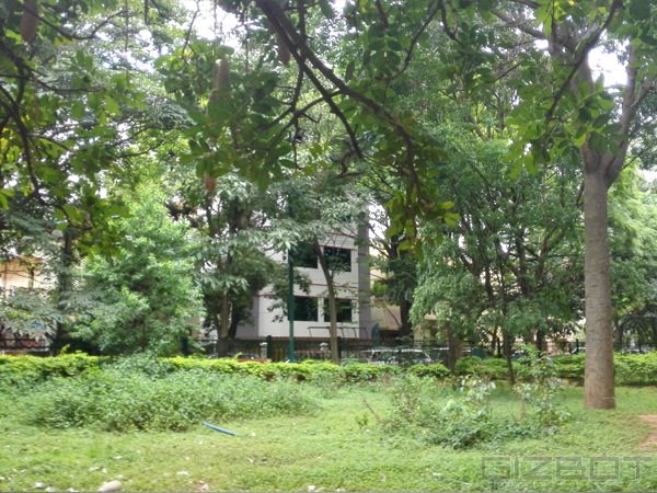 Huawei Honor 6 Hands On and First Look