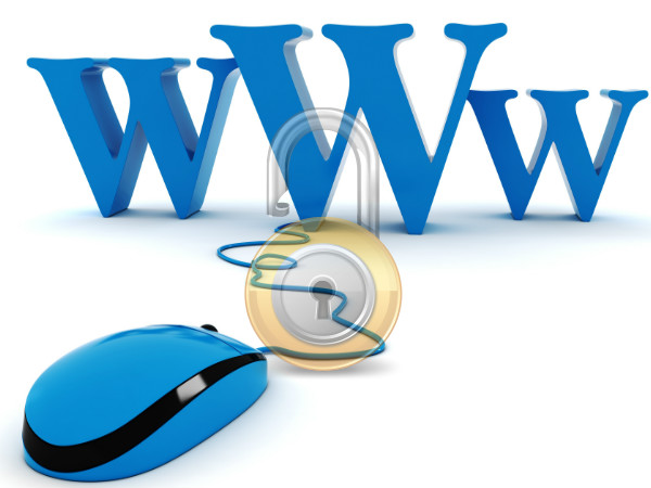 Delhi CEO's Website logged over 45 lakh hits on Polling Day