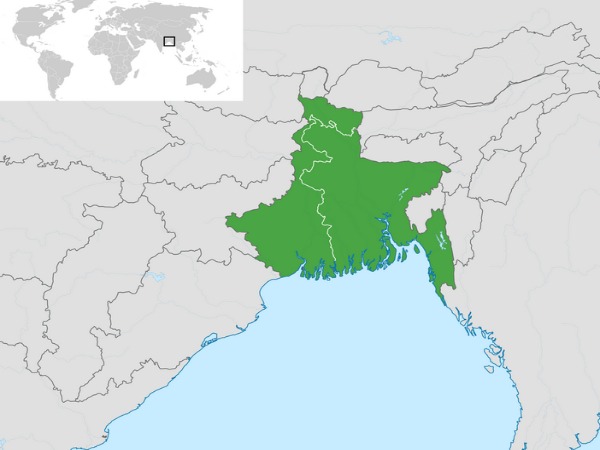 Website showcasing Bengal's Dutch Heritage launched