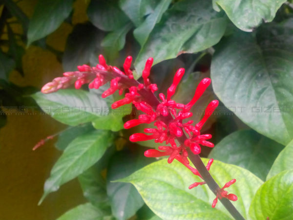 Karbonn Titanium Mach Two S360 Review