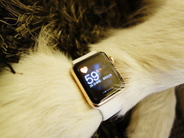 China's richest man's son gifts 2 Apple watches to pet dog