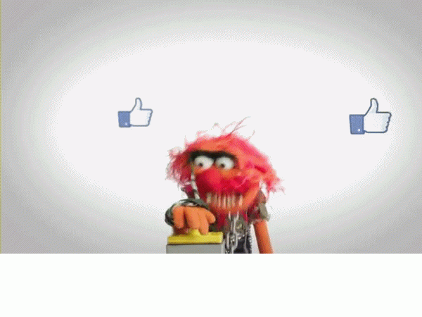 Now, post animated GIFs on Facebook