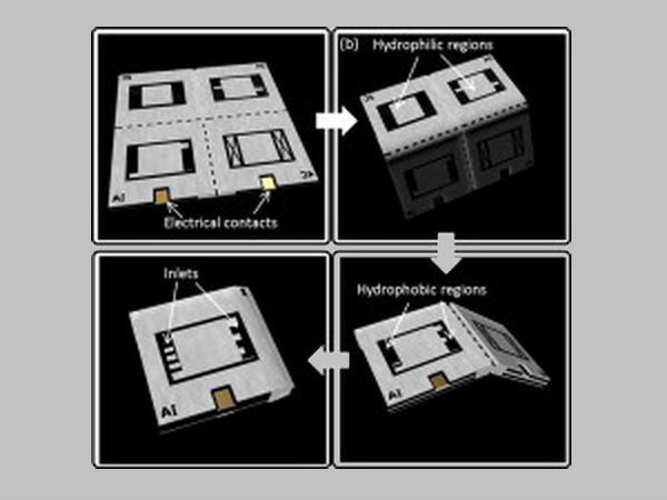 Now, bacteria-powered Battery made of paper