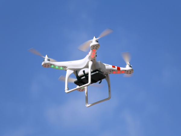 Andhra to use drone cameras to check red sander smuggling
