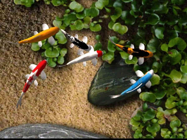 Avoid Live Wallpaper