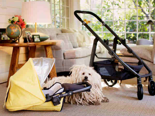 Started to get ready for daughter's arrival.