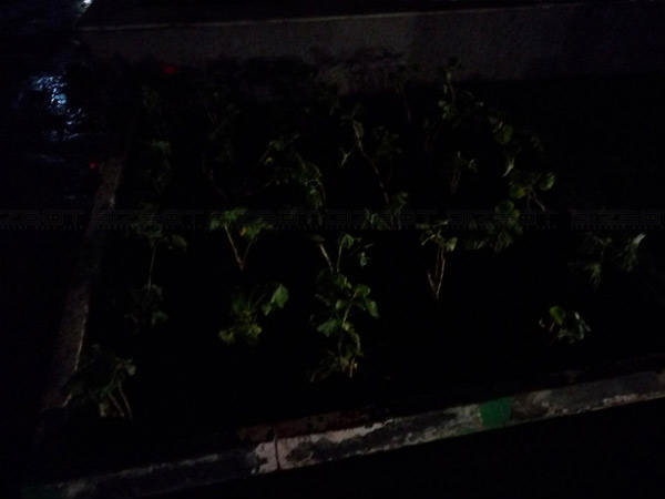 Lenovo Vibe S1 Hopes to Impress with Dual Front Camera Setup