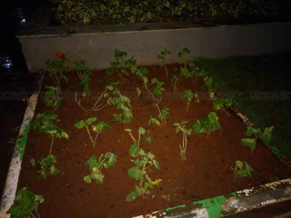 Lenovo Vibe S1 Hopes to Impress with Dual Front Camera Setup