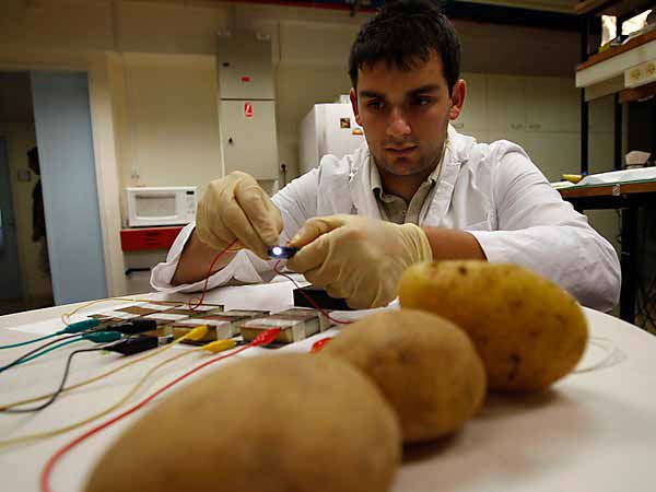 Scientist to grow potatoes on Earth under Mars conditions