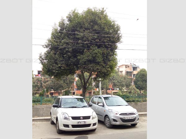 Coolpad Note 3 Camera Review: A Decent Budget Android Phone 