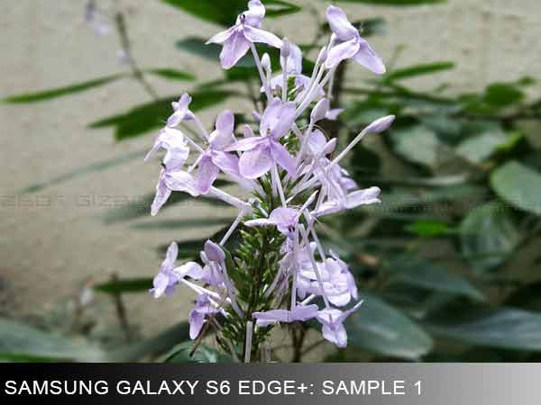 Samsung Galaxy Note 5 vs Galaxy S6 Edge+: Comparison Review!