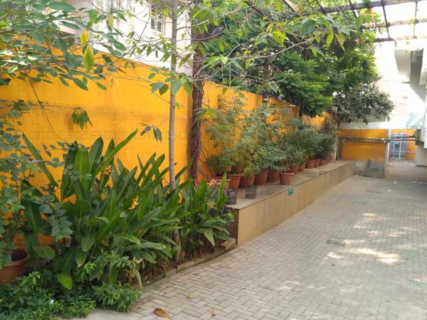 Honor 5X Review: A Great Smartphone In A Budget