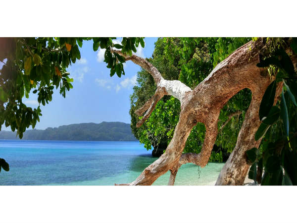 Xiaomi Mi 5 photo samples out to show its camera prowess! Xiaomi Mi 5 photo samples out to show its camera prowess!