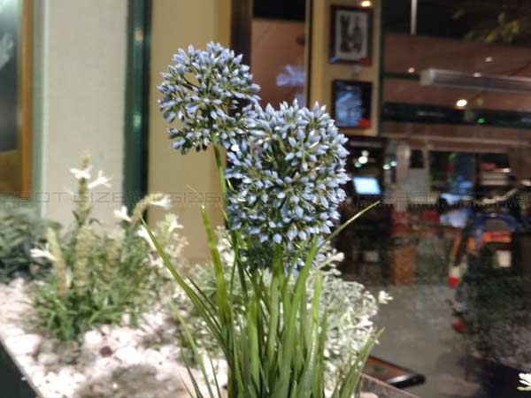 Moto X Force Review: A Phone That You Can't Break