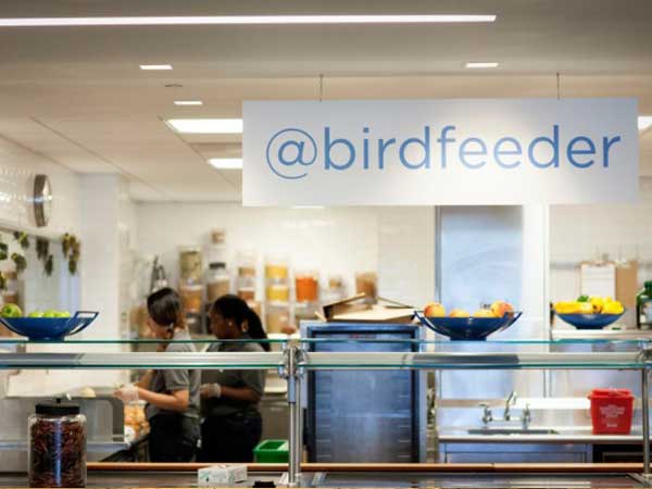 Top 6 Tech Companies And Their Awesome Cafeterias