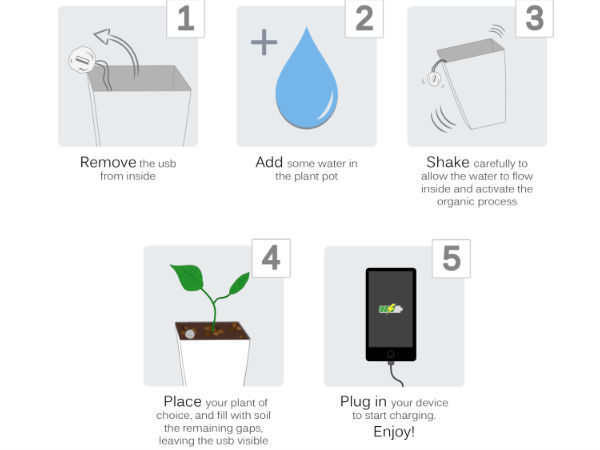 Now Turn Your Plant into a Charging Device: All You Need to Know