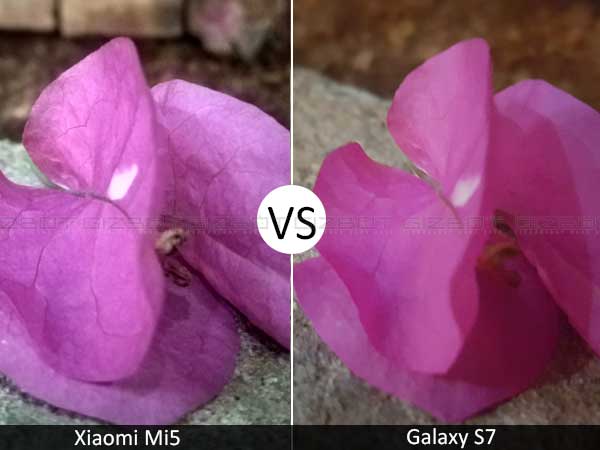 What Happened When We Clicked 7 Night Photos from Galaxy S7 and Mi 5!