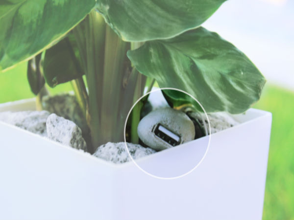 Now Turn Your Plant into a Charging Device: All You Need to Know