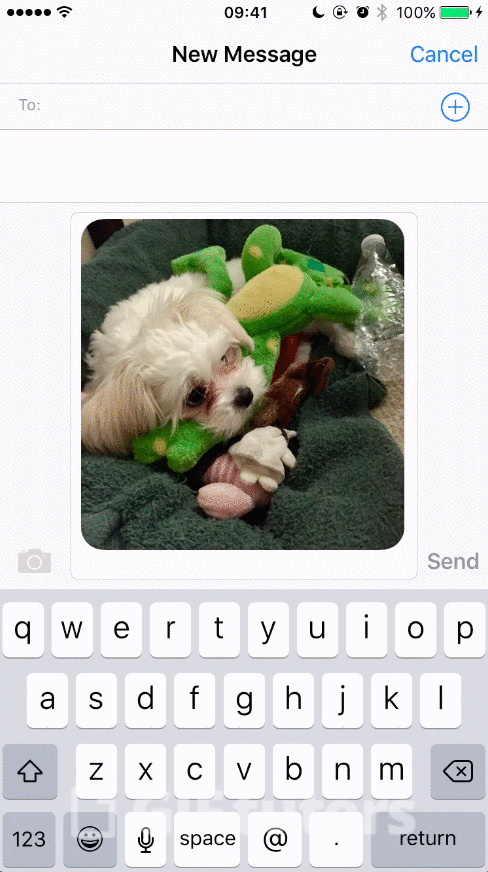 We All Have These 10 Characters in Our WhatsApp Groups!