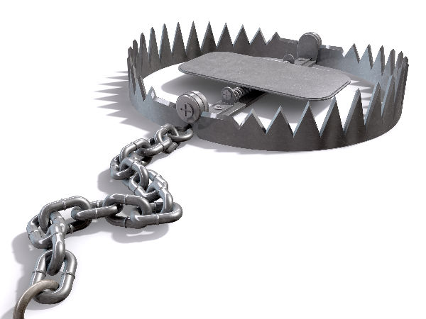 Amazon India takes down animal specimens, snares