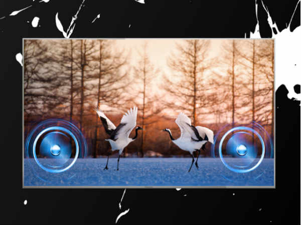 5 Most Affordable Smart Tvs Launched In India Recently 5 Most Affordable Smart Tvs Launched In India Recently