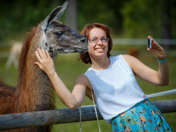 Wildlife selfie craze worries Indian conservationists