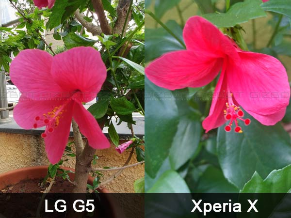 LG G5 vs Sony Xperia X Camera Samples Compared Side-by-Side