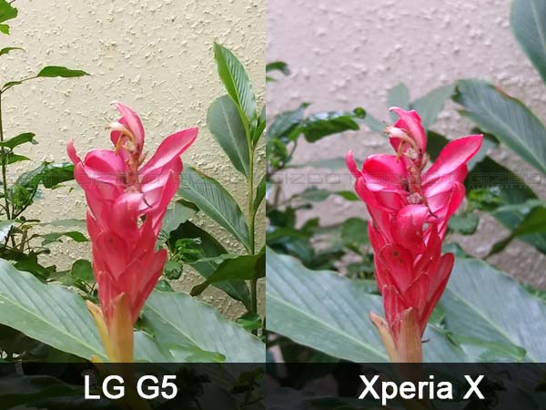 LG G5 vs Sony Xperia X Camera Samples Compared Side-by-Side