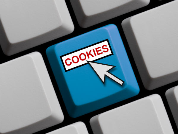 7 important things you should know about your browser