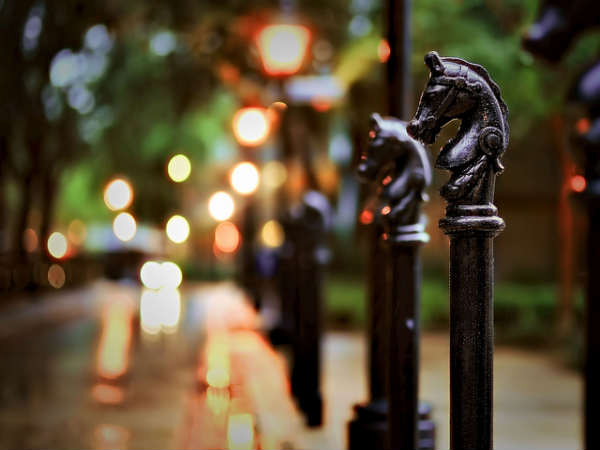 5 Cool Tips That Will Make Your Photographs Really Unique