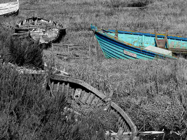 5 Cool Tips That Will Make Your Photographs Really Unique