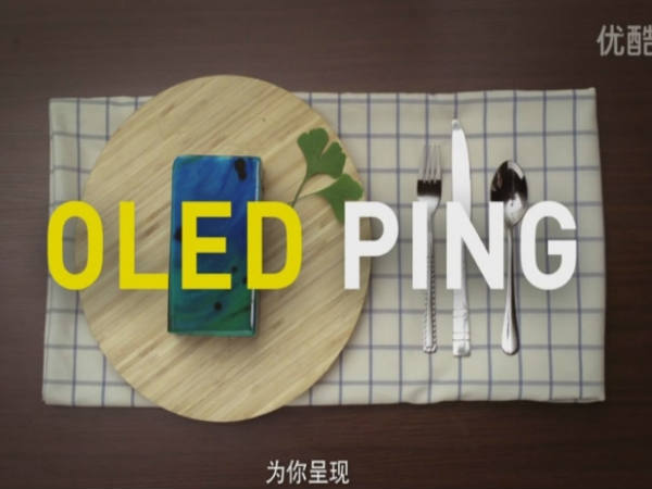 Another Xiaomi Leak: Dual Camera Samples, Redmi Pro Variant LEAKED