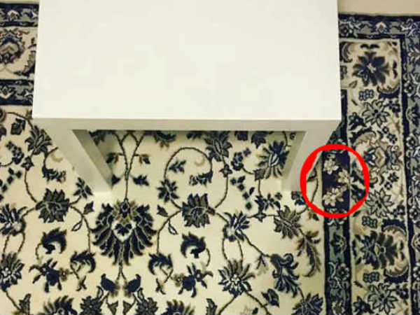 Can you find an iPhone dropped on this floral carpet?