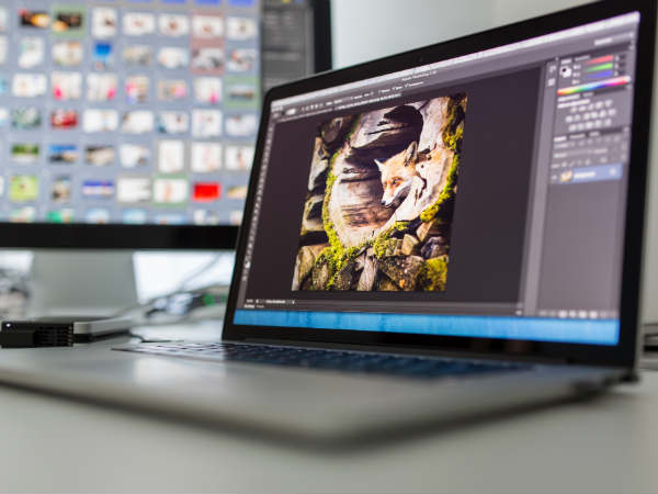 7 Secret Steps to take Stunning Photographs