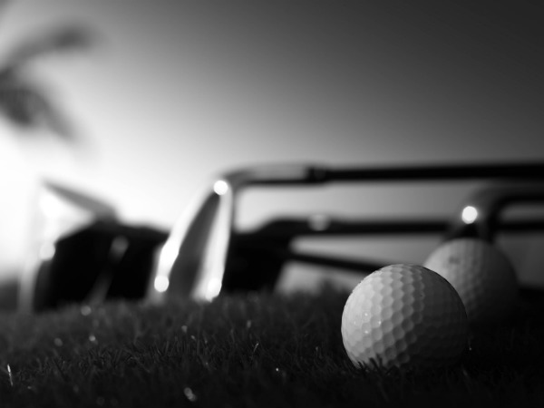 7 Secret Steps to take Stunning Photographs