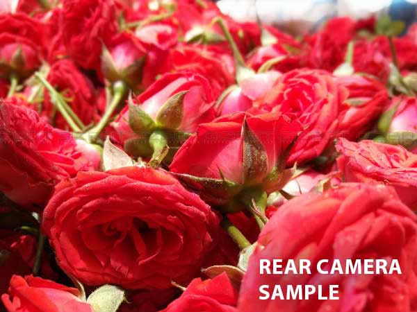 Dual Rear Camera is Worth Considering