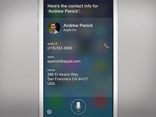 Search for Movies and Actors