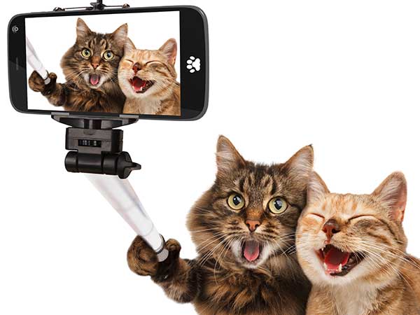 Be the Part of Memory #SelfieRush